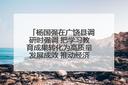 杨国强在广饶县调研时强调 把学习教育成果转化为高质量发展成效 推动经济稳健向好进中提质