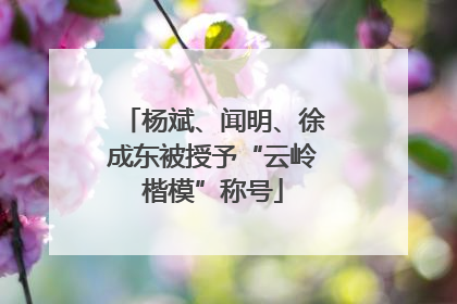 杨斌、闻明、徐成东被授予“云岭楷模”称号