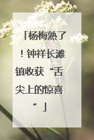 杨梅熟了！钟祥长滩镇收获“舌尖上的惊喜”