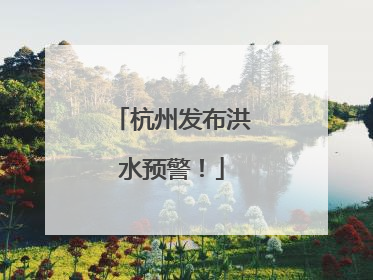 杭州发布洪水预警！