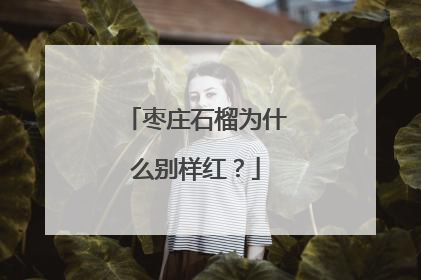 枣庄石榴为什么别样红？