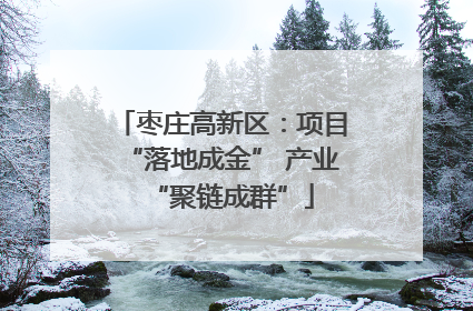 枣庄高新区：项目“落地成金” 产业“聚链成群”