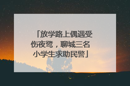 放学路上偶遇受伤夜鹭，聊城三名小学生求助民警