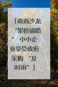政商沙龙“架桥铺路” 中小企业享受政府采购 “及时雨”