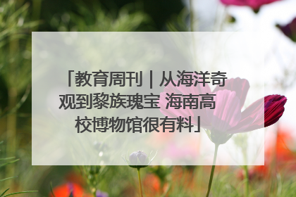 教育周刊｜从海洋奇观到黎族瑰宝 海南高校博物馆很有料