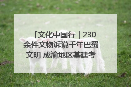 文化中国行｜230余件文物诉说千年巴蜀文明 成渝地区基建考古成果展开展