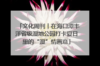 文化周刊丨在海口潭丰洋省级湿地公园打卡夏日里的“湿”情画意