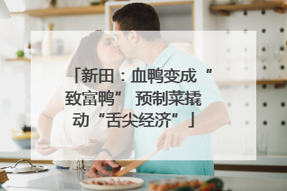 新田：血鸭变成“致富鸭” 预制菜撬动“舌尖经济”