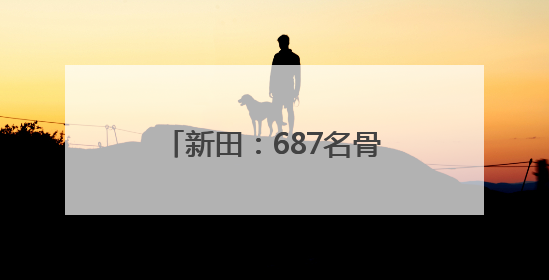 新田：687名骨干教师集中“充电” 提升综合素养