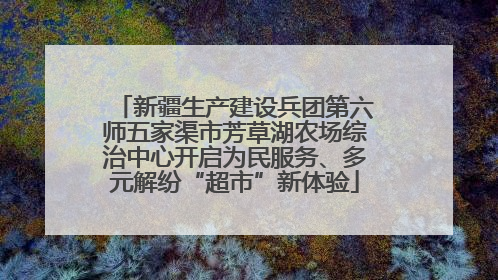 新疆生产建设兵团第六师五家渠市芳草湖农场综治中心开启为民服务、多元解纷“超市”新体验