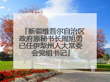 新疆维吾尔自治区政府原秘书长周旭勇已任伊犁州人大常委会党组书记
