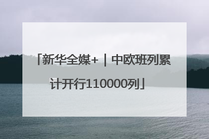 新华全媒+｜中欧班列累计开行110000列