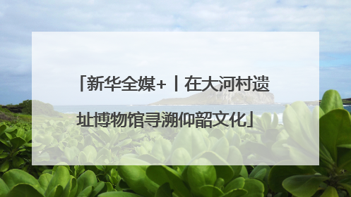 新华全媒+丨在大河村遗址博物馆寻溯仰韶文化