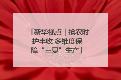 新华视点｜抢农时 护丰收 多维度保障“三夏”生产