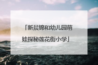 新晨锦和幼儿园萌娃探秘莲花街小学