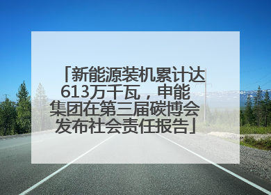 新能源装机累计达613万千瓦，申能集团在第三届碳博会发布社会责任报告