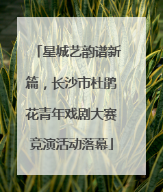 星城艺韵谱新篇，长沙市杜鹃花青年戏剧大赛竞演活动落幕