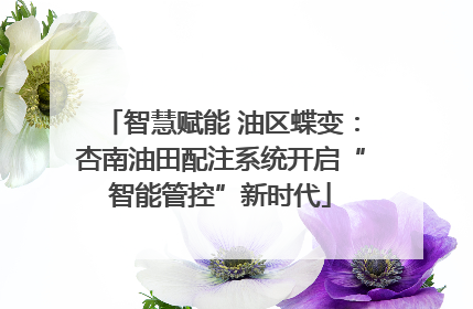 智慧赋能 油区蝶变：杏南油田配注系统开启“智能管控”新时代