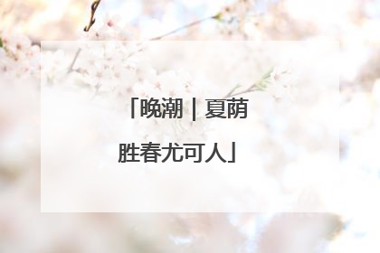 晚潮｜夏荫胜春尤可人