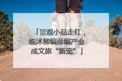 景观小品走红，临沭柳编藤编产业成文旅“新宠”