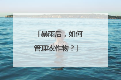 暴雨后，如何管理农作物？