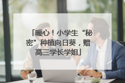 暖心！小学生“秘密”种植向日葵，赠高三学长学姐
