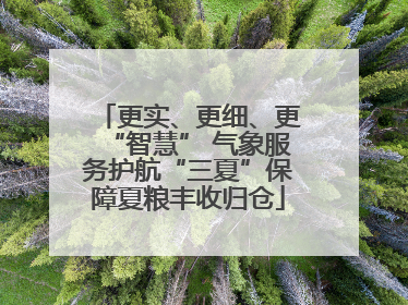 更实、更细、更“智慧” 气象服务护航“三夏”保障夏粮丰收归仓