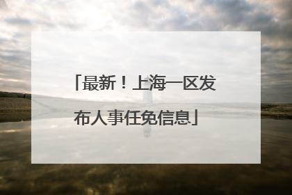 最新！上海一区发布人事任免信息