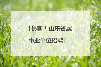 最新！山东省属事业单位招聘