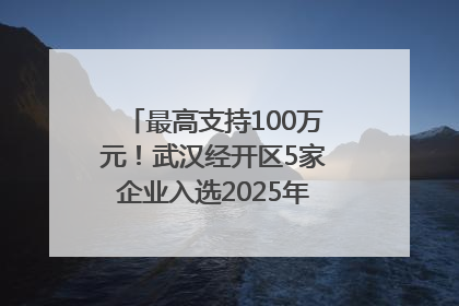 最高支持100万元！武汉经开区5家企业入选2025年度武汉市重点研发计划拟立项项目名单