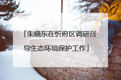 朱晓东在忻府区调研督导生态环境保护工作