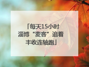 每天15小时 淄博“麦客”追着丰收连轴跑