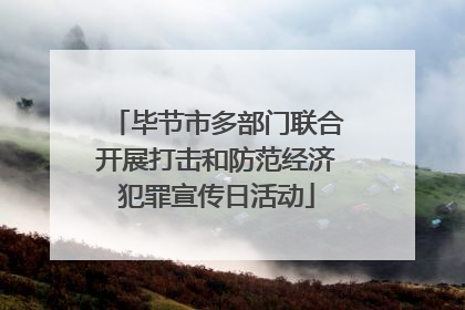 毕节市多部门联合开展打击和防范经济犯罪宣传日活动