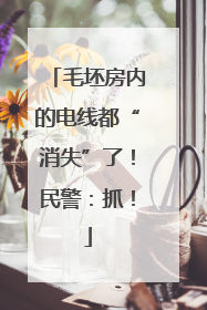 毛坯房内的电线都“消失”了！民警：抓！