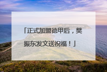 正式加盟德甲后，樊振东发文送祝福！