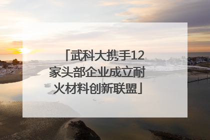武科大携手12家头部企业成立耐火材料创新联盟