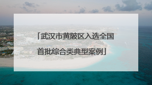 武汉市黄陂区入选全国首批综合类典型案例