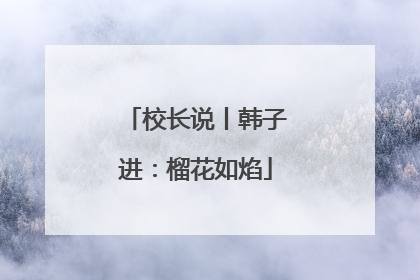 校长说丨韩子进：榴花如焰