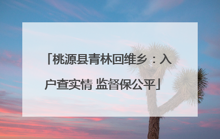 桃源县青林回维乡：入户查实情 监督保公平