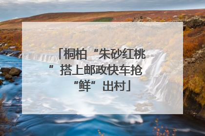桐柏“朱砂红桃”搭上邮政快车抢“鲜”出村