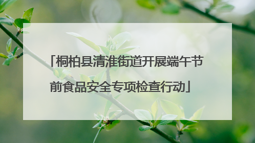 桐柏县清淮街道开展端午节前食品安全专项检查行动