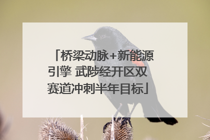 桥梁动脉+新能源引擎 武陟经开区双赛道冲刺半年目标