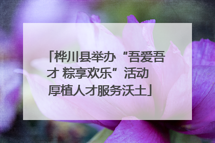 桦川县举办“吾爱吾才 粽享欢乐”活动 厚植人才服务沃土