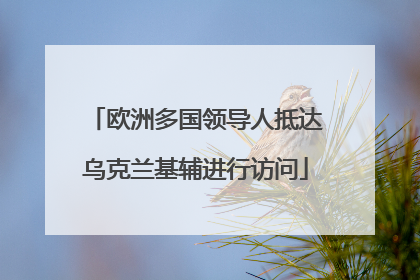 欧洲多国领导人抵达乌克兰基辅进行访问