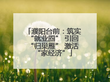 濮阳台前：筑实“就业圈” 引回“归巢雁” 激活“家经济”