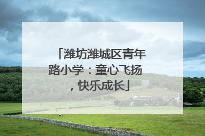 潍坊潍城区青年路小学：童心飞扬，快乐成长