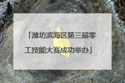 潍坊滨海区第三届零工技能大赛成功举办