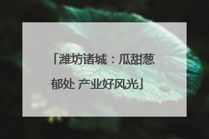 潍坊诸城：瓜甜葱郁处 产业好风光