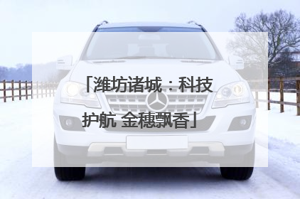 潍坊诸城：科技护航 金穗飘香