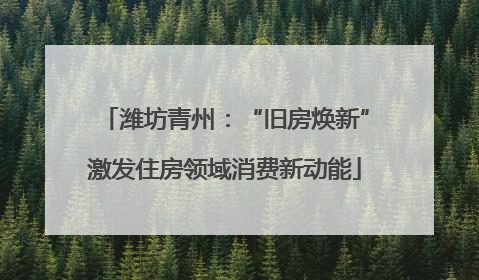 潍坊青州：“旧房焕新”激发住房领域消费新动能